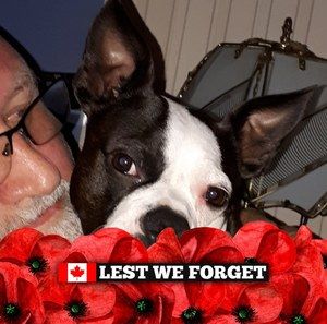 Meet your Posher, Lucy